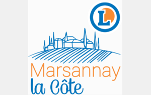 Partenaire Stage Perfectionnement