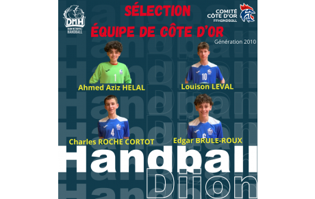 Sélection Equipe de Côte d'Or Génération2010