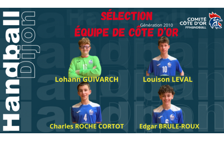 Sélection Equipe de Côte d'Or Génération2010